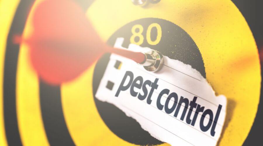 Professional termite inspection services in Wagoner - Wagoner Termite Inspection